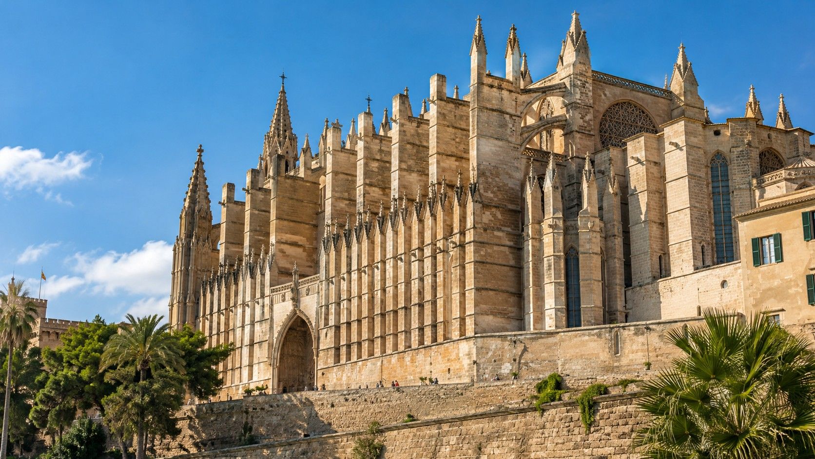 Catedral de Mallorca: entrada, visita y terrazas